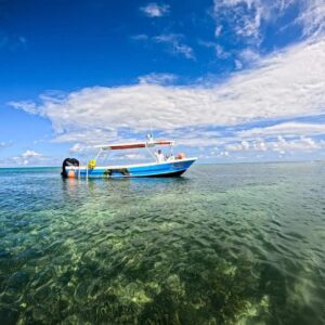 480966337 649527094133763 7652072112833279287 n