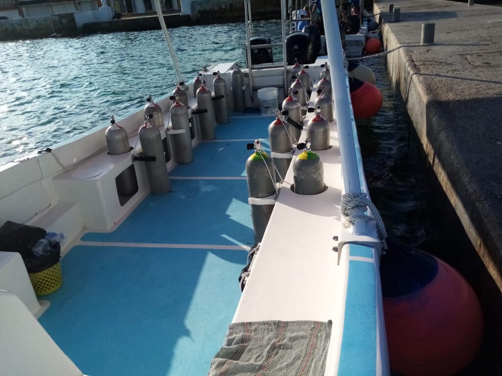 533547963 772940085125796 2149796614253166635 n