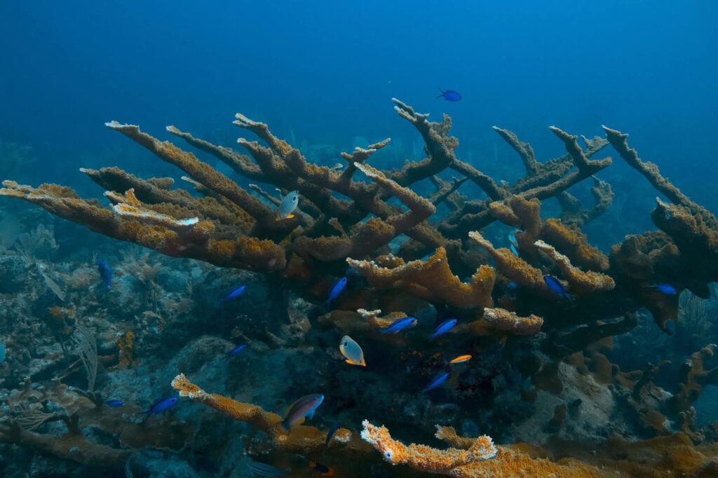 fb img 1736903186462