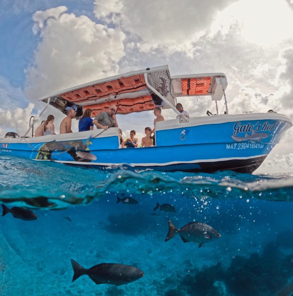 whatsapp image 2025 02 19 at 1.03.41 pm