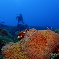 448145696 476308294788978 5036863176947541065 n