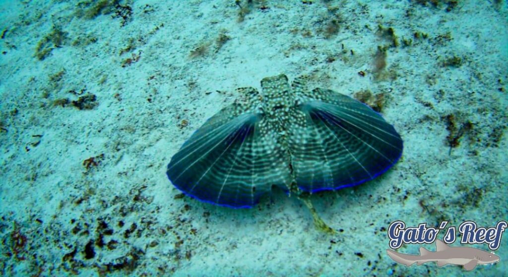 481043579 646780071075132 4762397909977800446 n