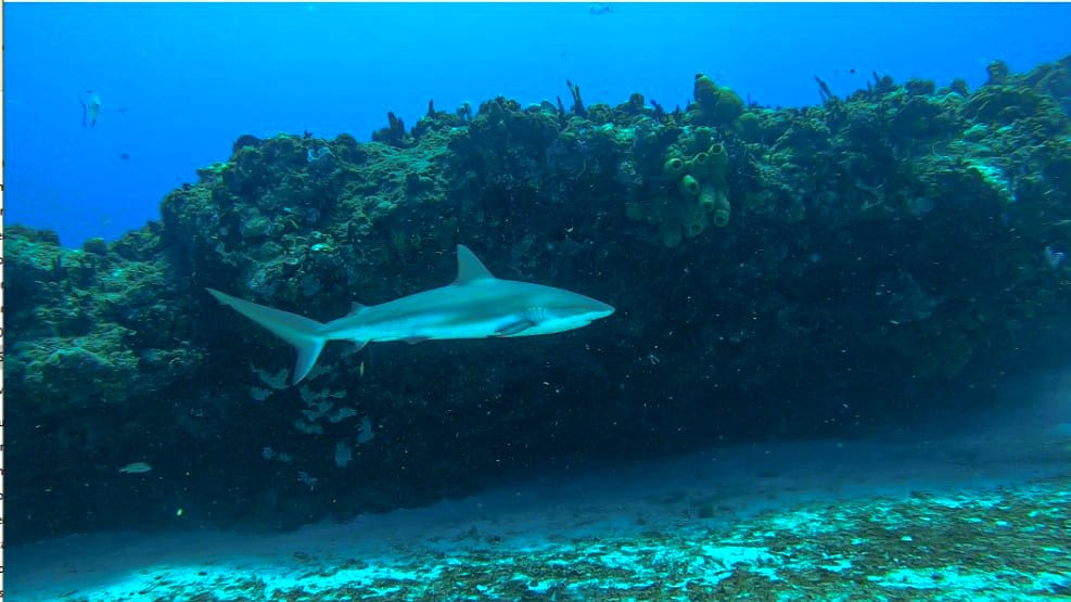 481044140 646774231075716 3556658303506009346 n