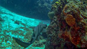 481771064 652872750465864 8814946408493057642 n