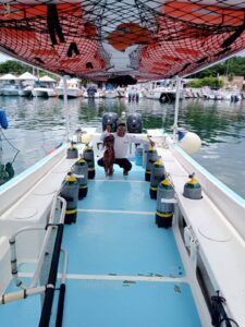 522617173 755909433495528 5981444735933988734 n (1)