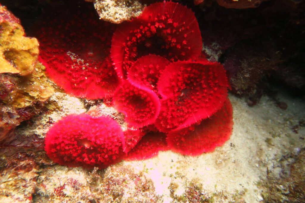 523113326 756812410071897 4474441820196466469 n