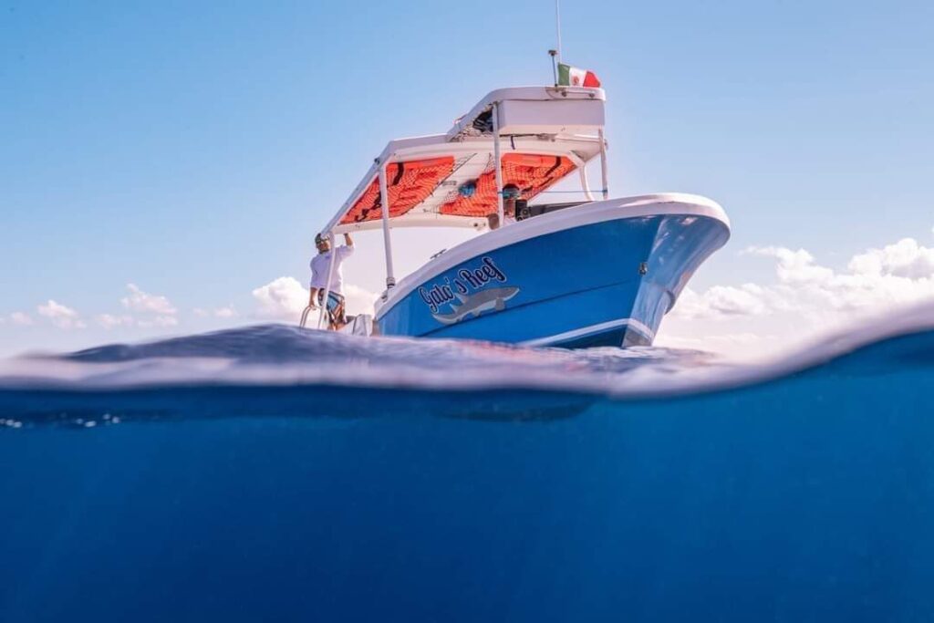 fb img 1731871160866