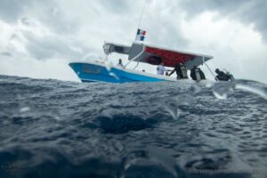 whatsapp image 2025 02 19 at 1.04.28 pm